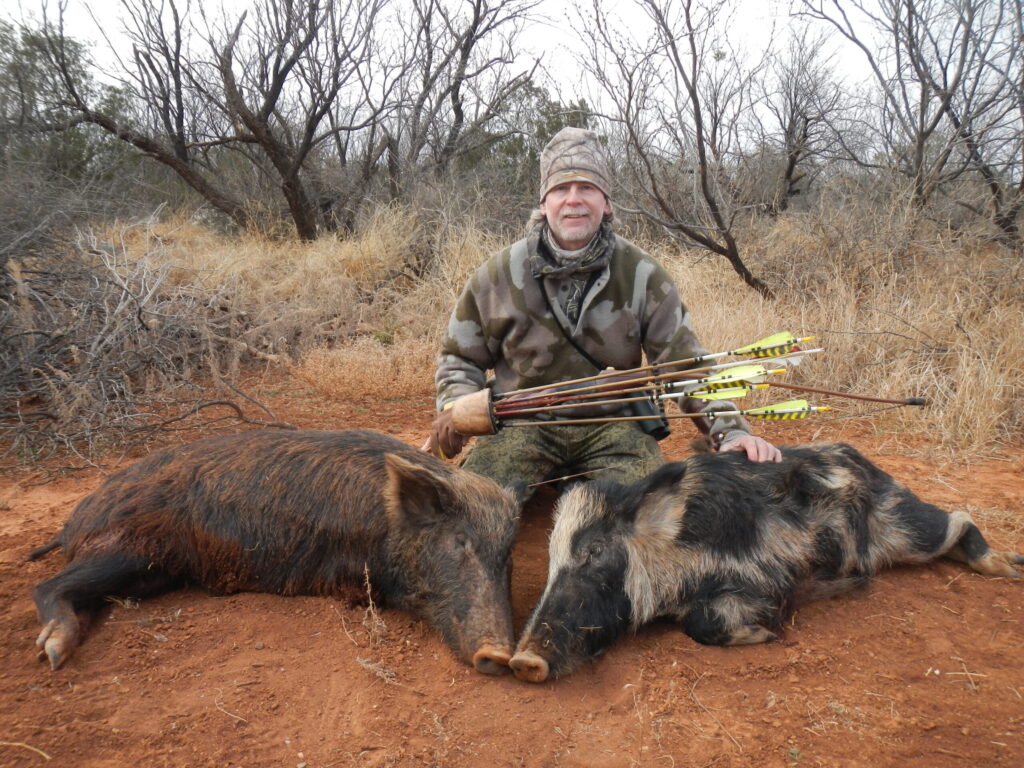 Texas Hogs